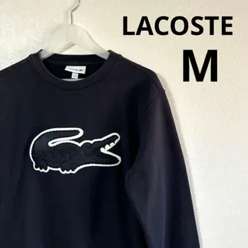LACOSTE 라코스테 맨투맨 빅 로고 악어 네이비 M