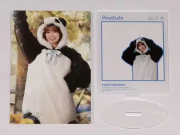 타카모토 아야카 아크릴 스탠드 & 엽서 히나도서 테디베어