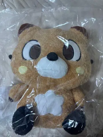 EVNNE EVNNIZ 케이타 이타그리 25cm 봉제 인형