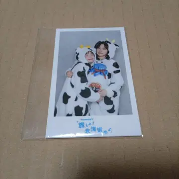 harmoe 폴라로이드풍 브로마이드