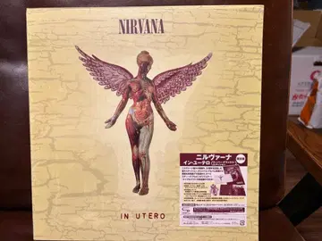 Nirvana In Utero 20th AnniversaryEdition