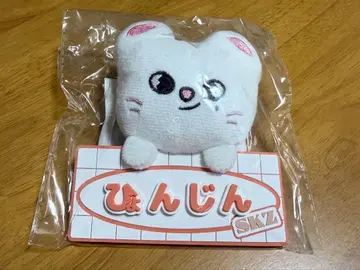 straykids 지니레트 네임택 백참