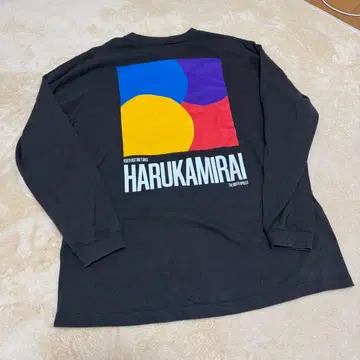 하루카미라이 티셔츠 롱티 L 사이즈
