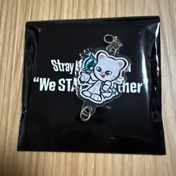 straykids 전시회 랜덤 연결 아크릴 키링 지니 레트 현진