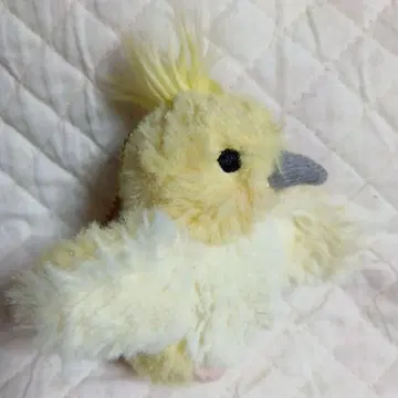 선레몬 체인 포함 오카메 앵무새 마스코트 봉제 인형 새