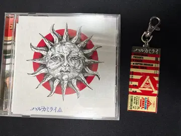 하루카미라이 무도관 DVD 키링