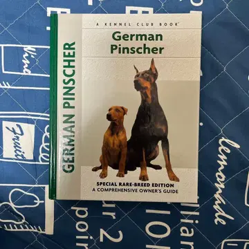 German Pinscher 저먼핀셔