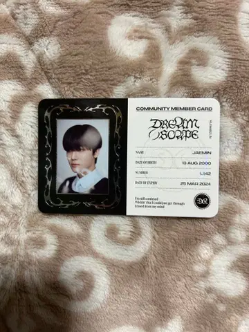 NCT DREAM SCAPE 재민 트레이딩 카드