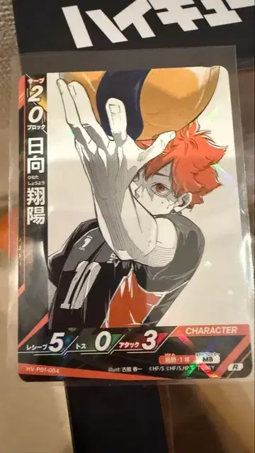 히나타 쇼요 피규어 & 바보카 카드 세트