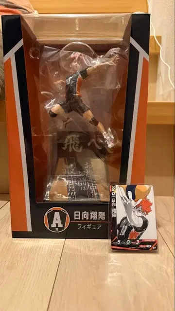 Happy복권 하이큐 히나타 쇼요 피규어 A상 제일복권 덤 포함