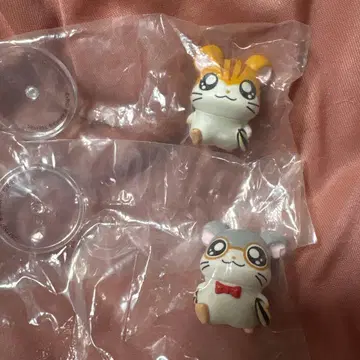 나라룬데스 토토코 하무타로 테치테치 대행진인 거야! 토라하무 안경