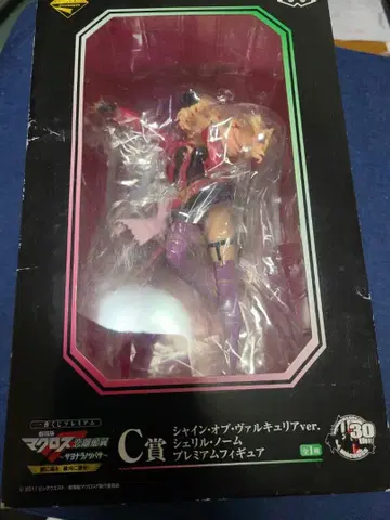 미개봉 피규어 2개 세트 마크로스 뻐꾸기 커플