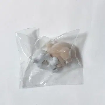 포켓몬 슬립 카라카라 플로키 피규어 익명 배송