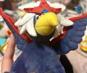 포켓몬 fit 보그루