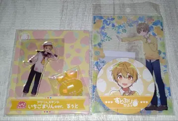 스토푸리 루토 아크릴 스탠드 클리어 보드 코스터