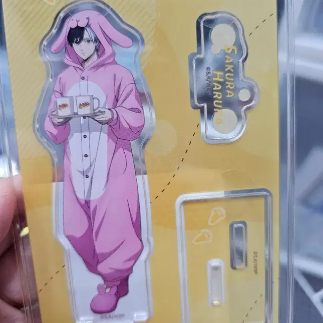 윈드브레이커 사쿠라 하루카 아크릴 스탠드