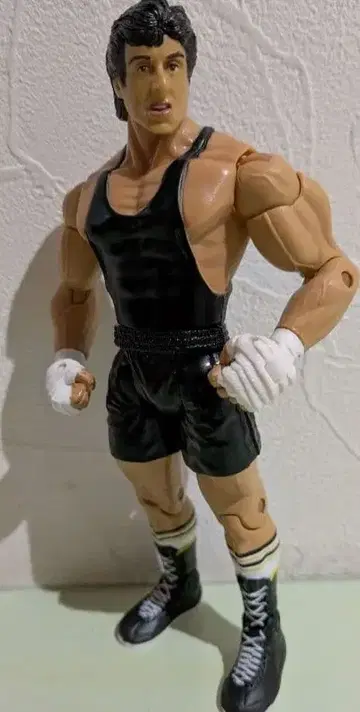 [ 선착순! ] 록키 보아