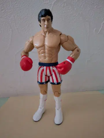 [ 선착순! ] 록키 보아