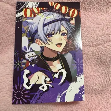 이레이스 쇼토 폴라로이드