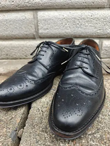 잘란 스리와야 98755 블랙 윙 칩 신발 UK9