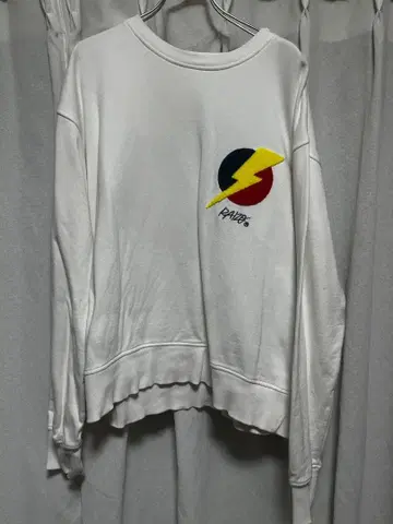 RAIZO의 트레이닝복