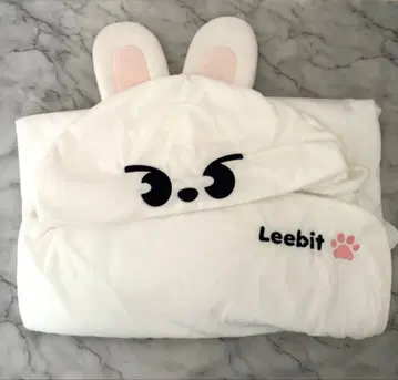 straykids LEEKNOW 리노 리비트 담요