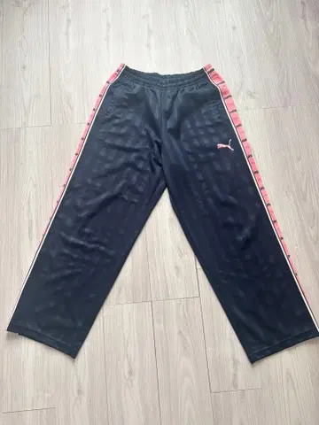 단종 푸마 저지 푸자 PUMA