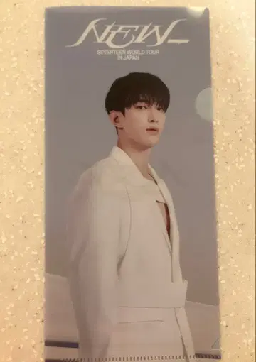 SEVENTEEN NEW 라이브 뷰잉 특전 클리어 파일 DK