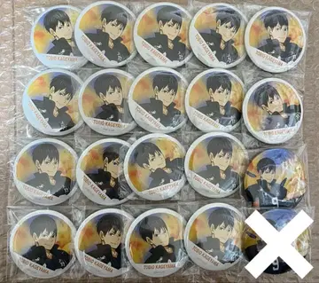 하이큐 카게야마 토비오 가로막 캔뱃지