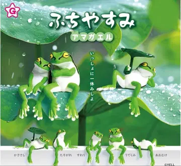 후치야스미 청개구리 전 5종 세트