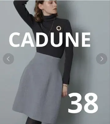 CADUNE 코쿤 미니 스커트 38