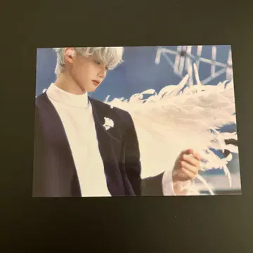 &team JO makestar 포토 카드