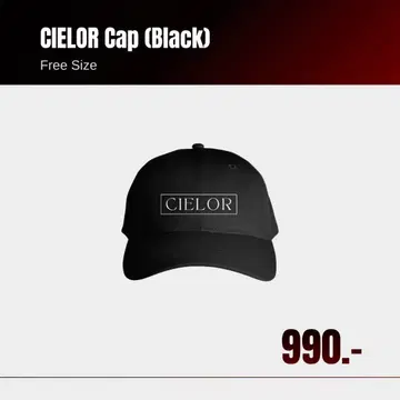 BNEWERA CIELOR CAP Becky 벌스데이 콘서트 굿즈