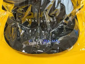 블루블루 플랫 캡