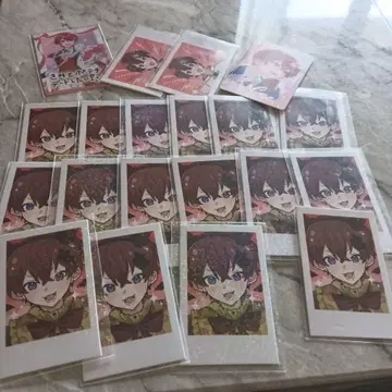 스타폴라 코에군 폴라로이드풍 트레이딩 카드