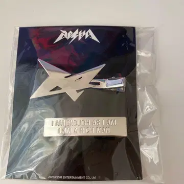 헤어핀 세트 카리나 포토 카드 포함