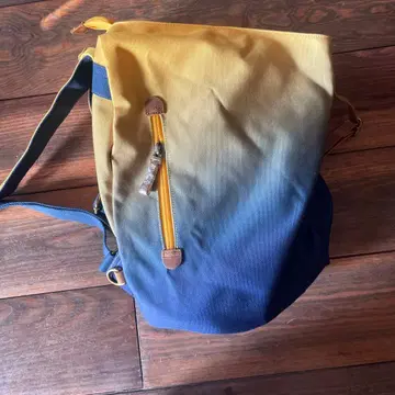 그라데이션 백팩 미사용 택 포함