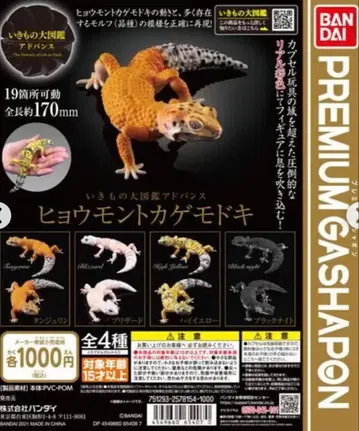 BANDAI 레오파드 도마뱀 캡슐 토이 세트 3종