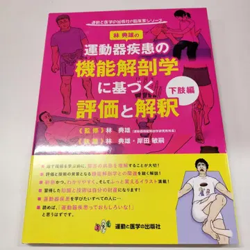 운동기 질환의 기능 해부학에 기반한 평가와 해석 하지편