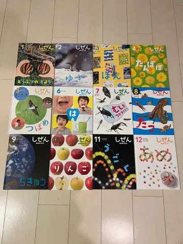 킨더북 프레벨관 자연 아동서 12권 묶음 판매