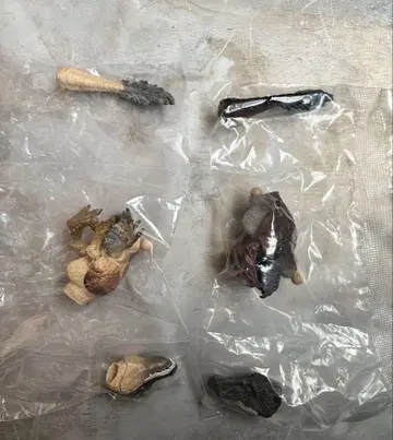 생물대도감 쁘띠 공룡 03 벨로키랍토르 2종 세트