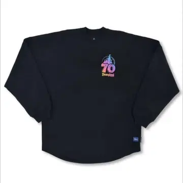 애너하임 디즈니랜드 70주년 스피저