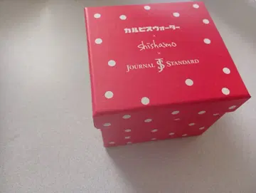 SHISHAMO 저널 스탠다드 칼피스 손목시계 미사용