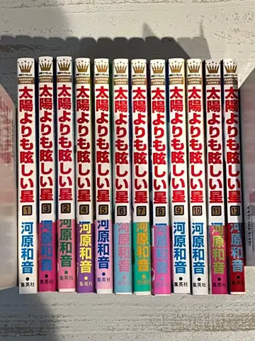 태양보다 눈부신 별 기발간 전권 12권