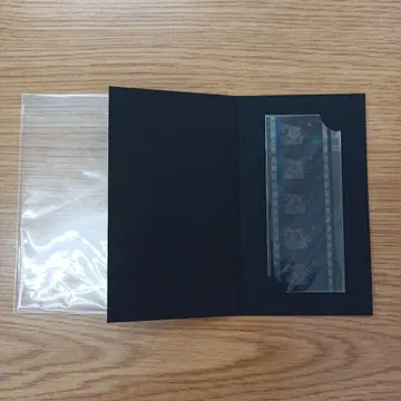 마크로스F 시간의 미궁 필름 셰릴