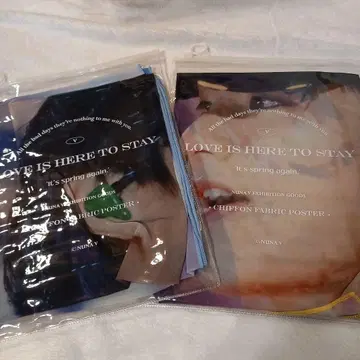 BTS V 테테 태형 누나비님