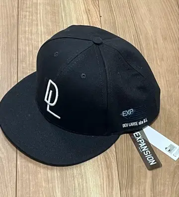 EXPANSION NY x DEV LARGE 캡