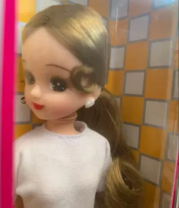 미개봉 2022년 버스데이 모델 리카짱