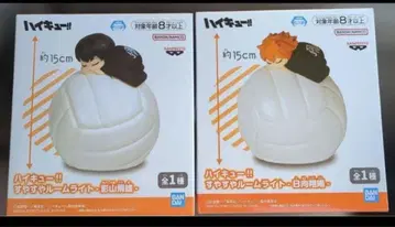 하이큐 룸 라이트 카게야마 토비오 히나타 쇼요 2개 세트