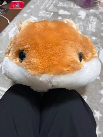 뽑기 게임 햄스터 봉제 인형 본체 약 30cm